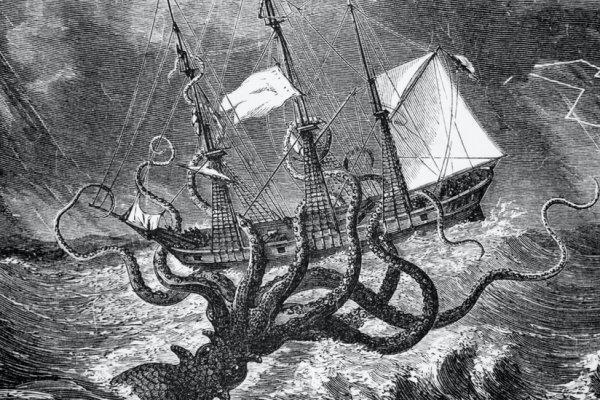 Kraken даркнет переходник