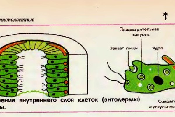 Какая сейчас ссылка на кракен