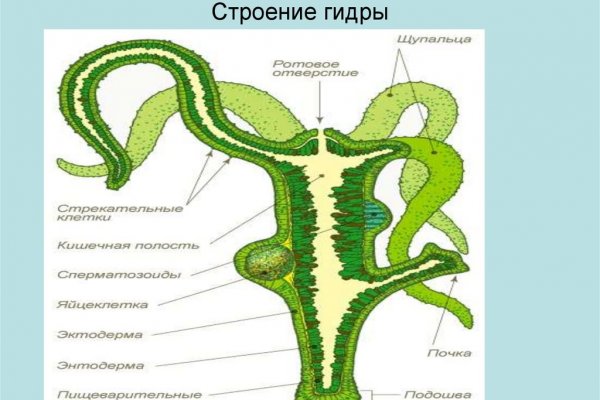 Сайт кракен через тор