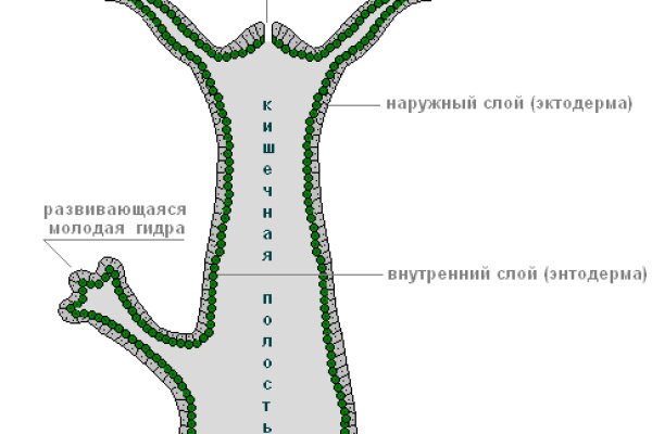 Кракен площадка даркнет